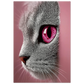 43bd92bb-aa4a-4064-98a4-29ea9bff5a82